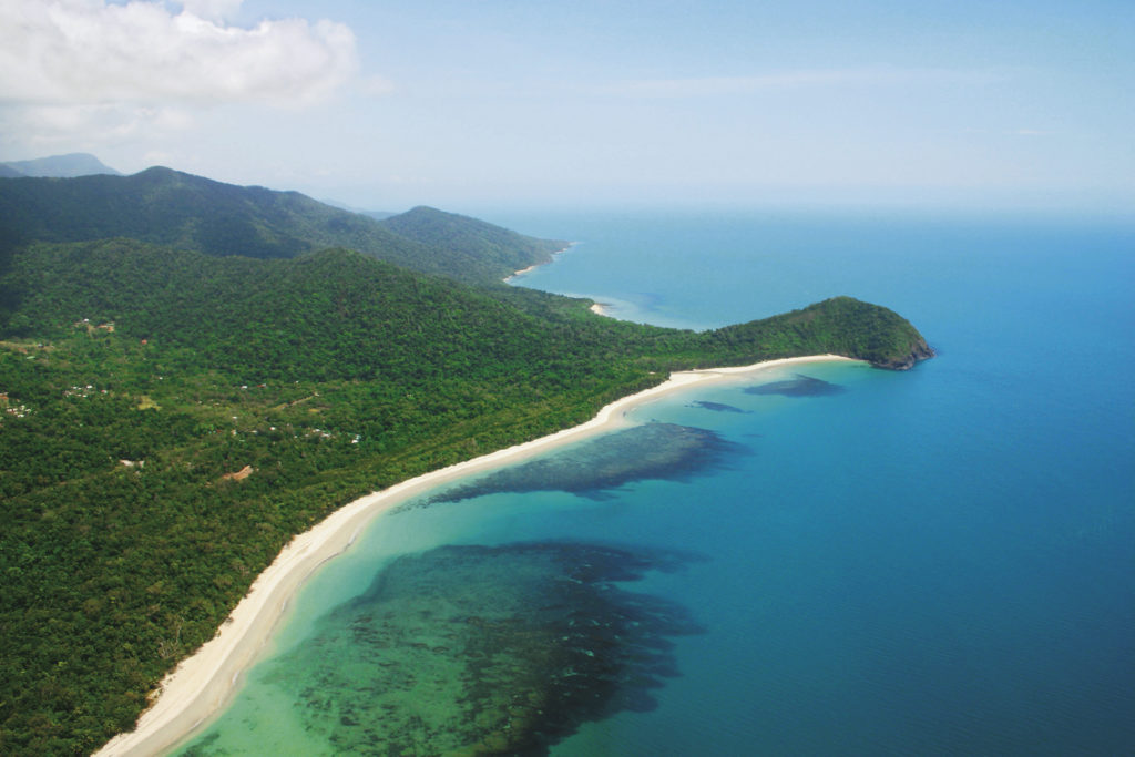 Daintree & Cape Tribulation