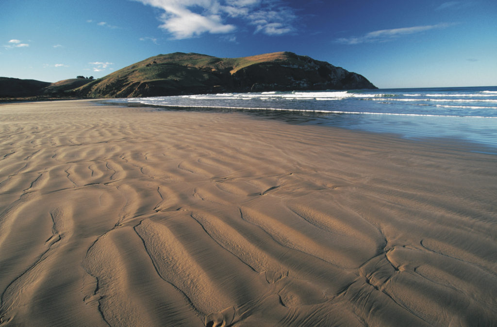 Höhepunkte der Catlins