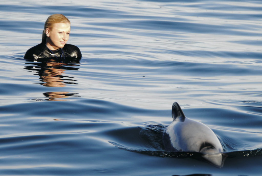 Schwimmen mit Delfinen in Akaroa