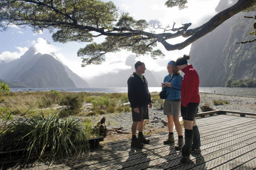 Milford Sound Cruise & Walk