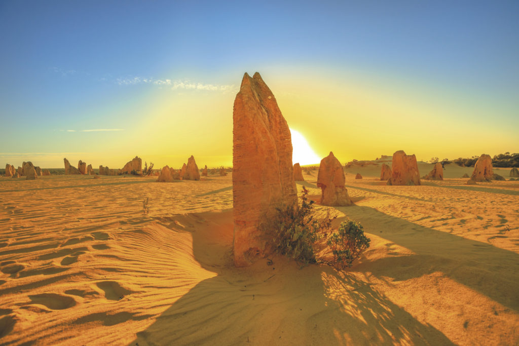 Pinnacles im Nambung Nationalpark