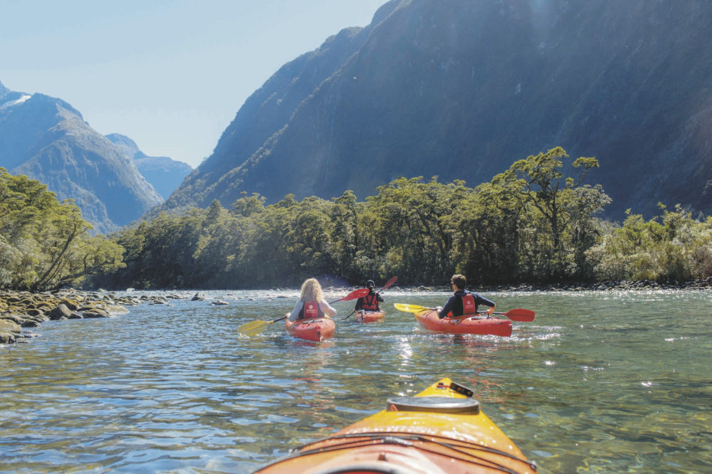 Milford Sound Cruise & Kayak