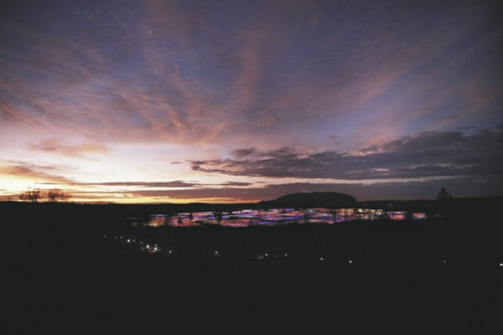 Besuch des Field of Light