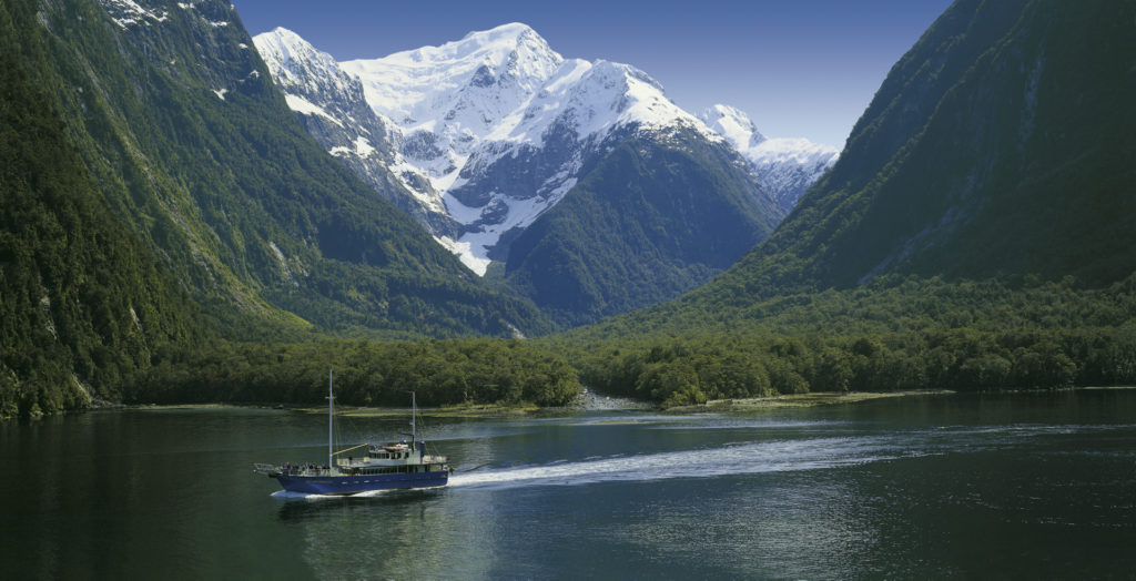 Milford Sound über Nacht