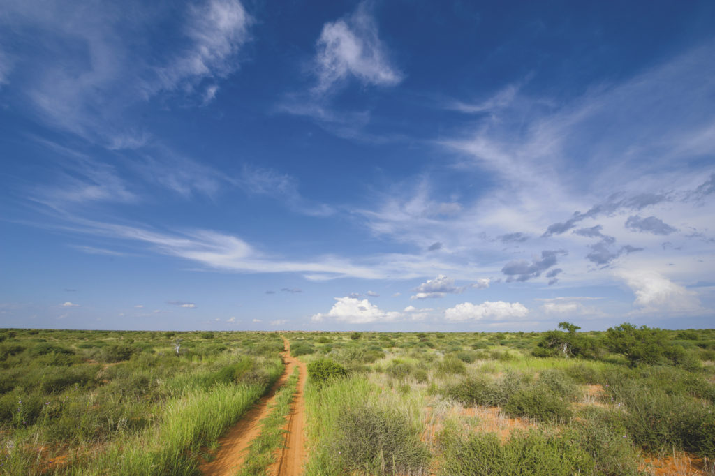 Northern Cape Kaleidoskop