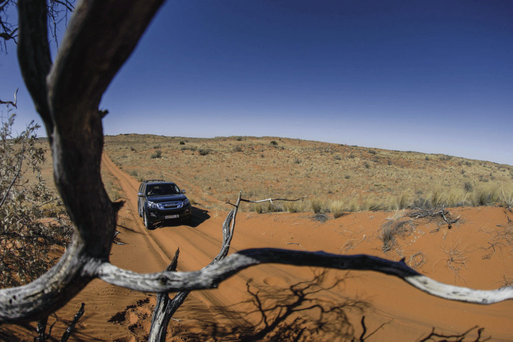 Ursprüngliches Afrika in der Kalahari