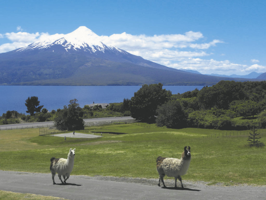 Vulkan-Trekking Osorno