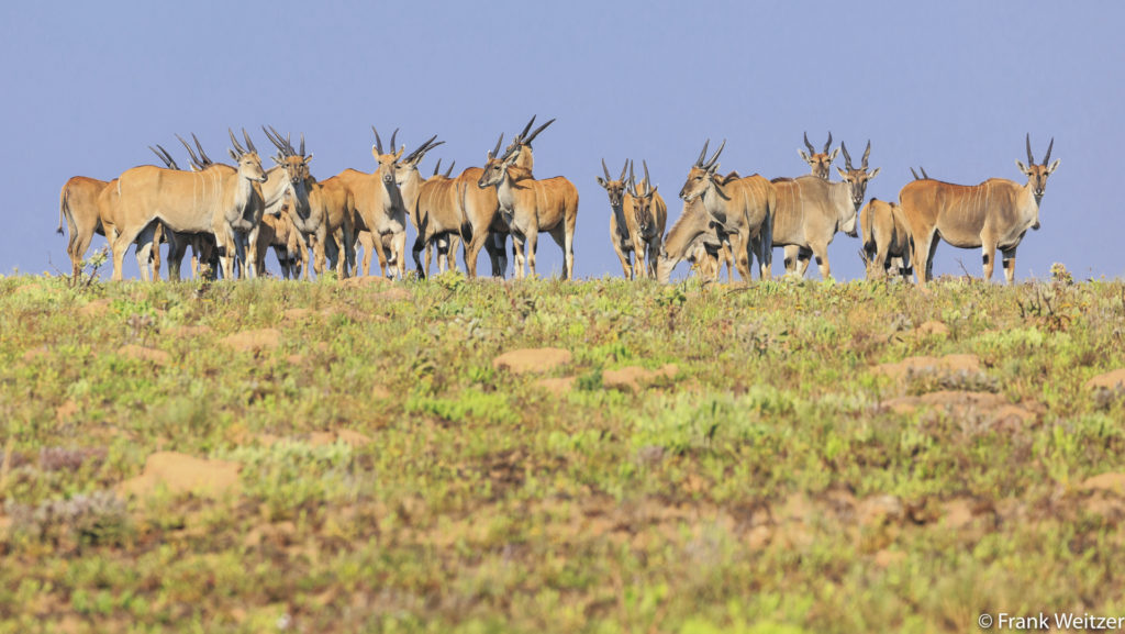 Unbekannte Nationalparks