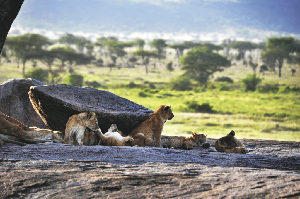 Tansania Abenteuer pur