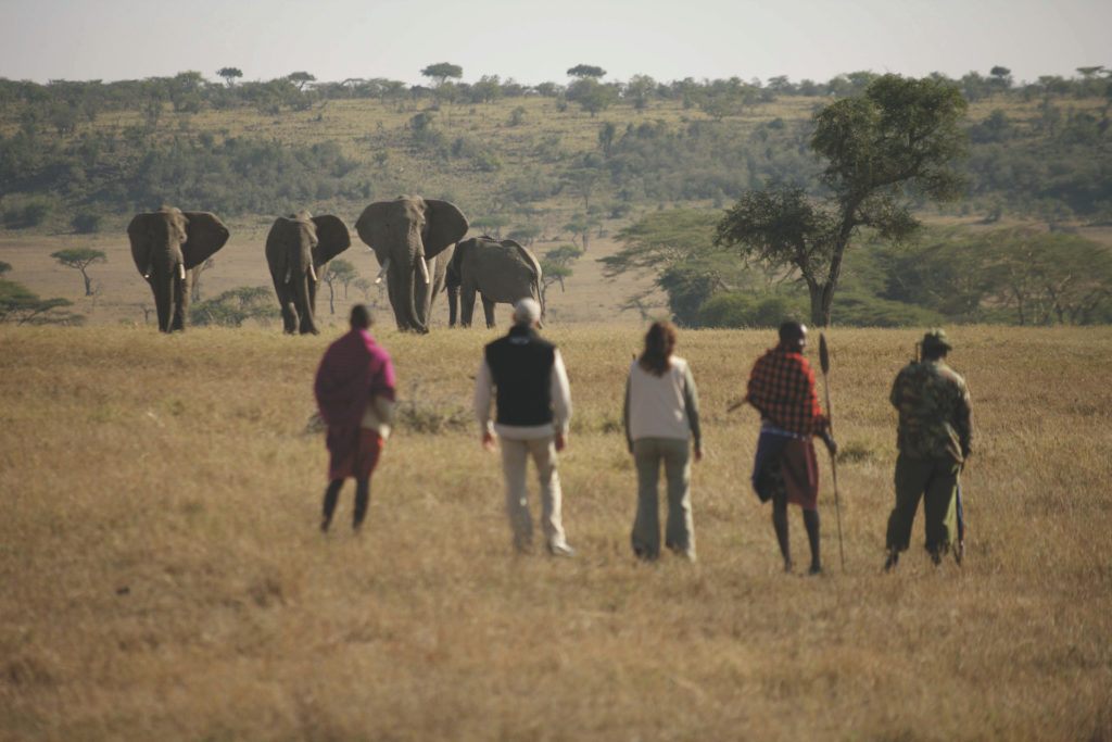 Into the Wild – Masai Mara Explorer