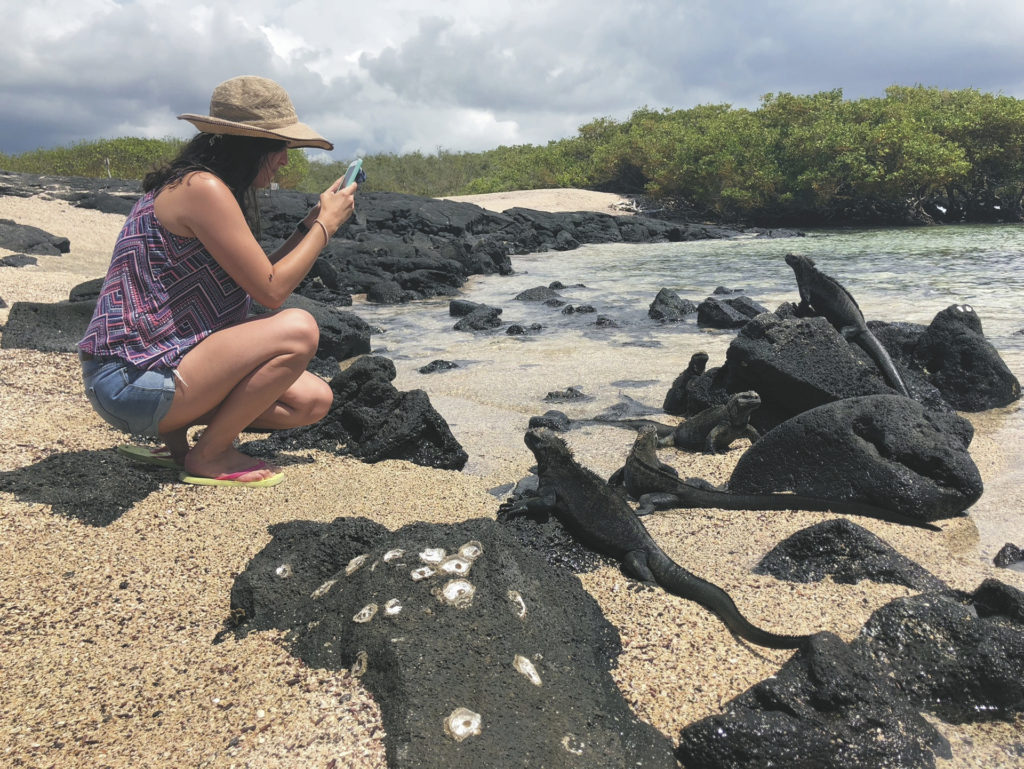 Inselhüpfen Galapagos