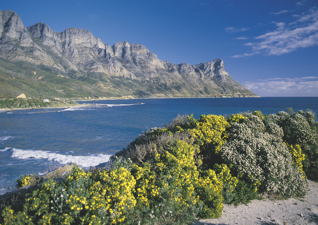 Panoramafahrt nach Hermanus