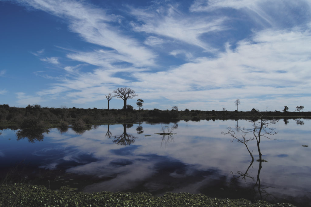 Auf Straßen und Schienen durch Madagaskar