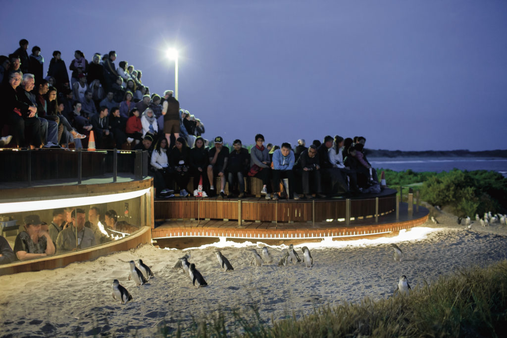 French Island & Phillip Island