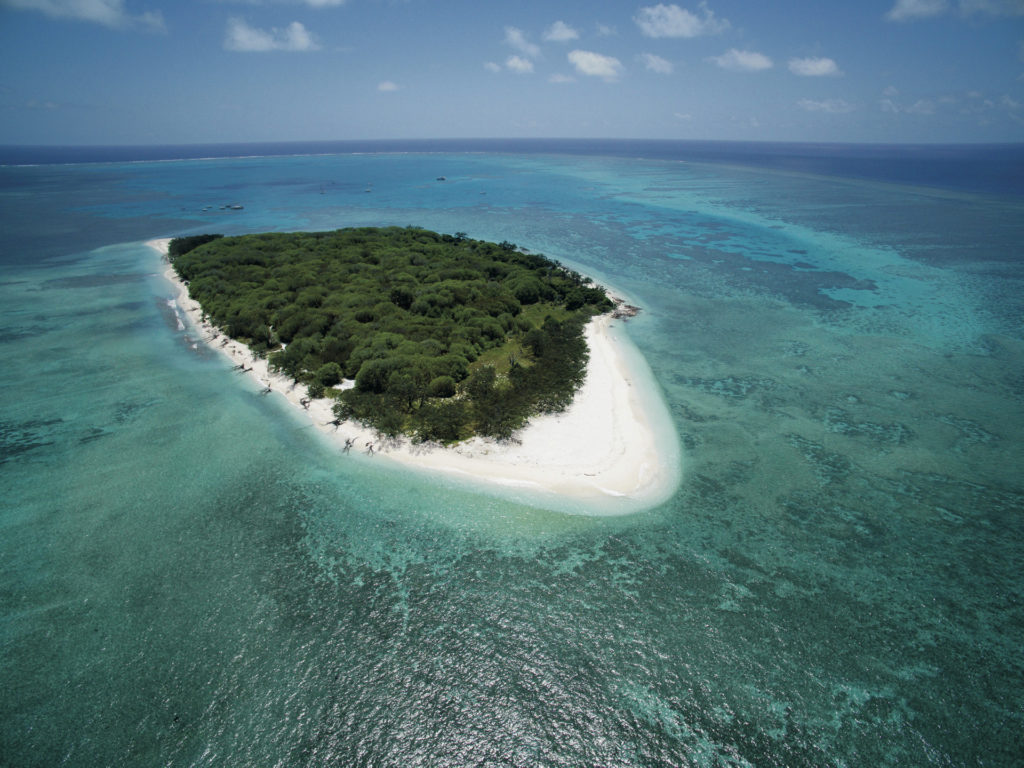 Lady Musgrave Island