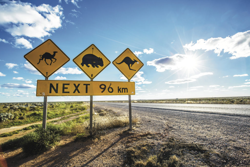 Nullarbor Ebene – von Perth nach Adelaide