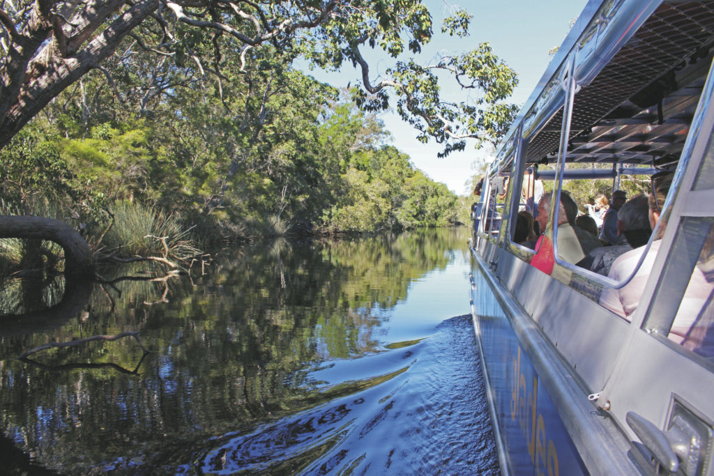 Noosa Everglades – unberührte Wildnis