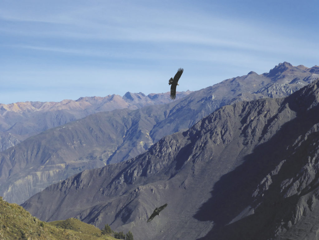 Colca Trek