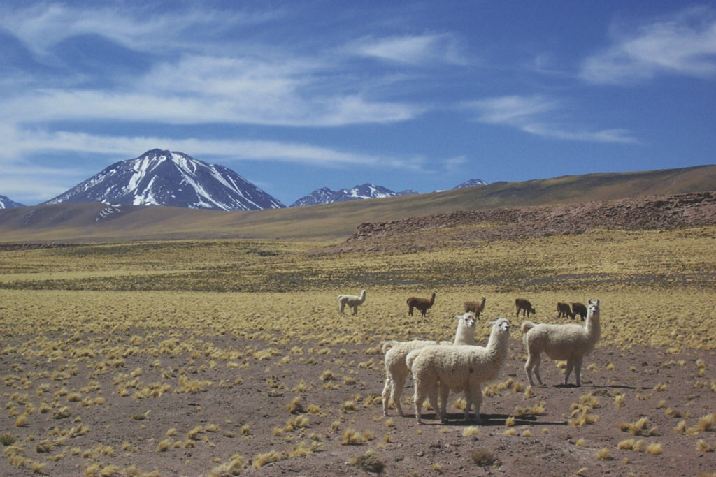 Kaleidoskop Chile