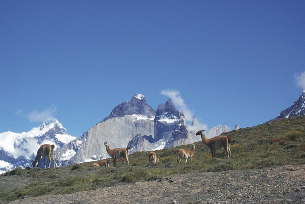 Von Feuerland nach Südpatagonien