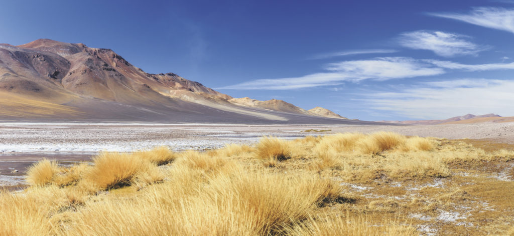 Easy Atacama – Begleitete Selbstfahrer-Reise