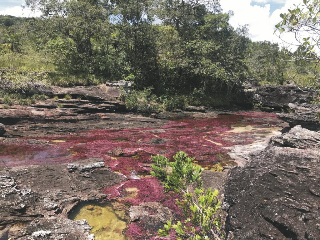 Magisches Caño Cristales