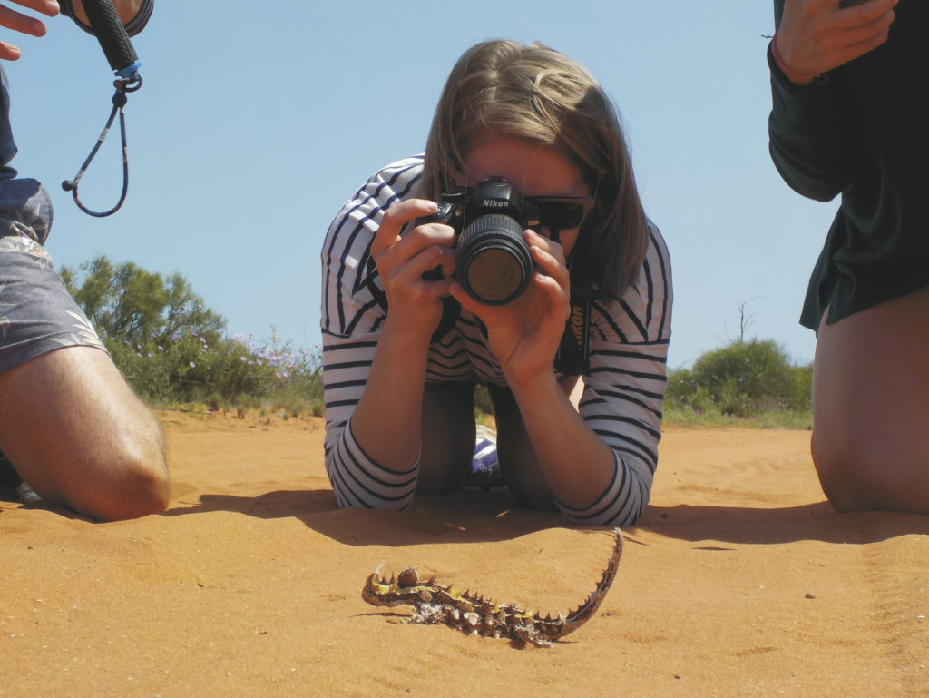 Francois Peron Allrad-Safari