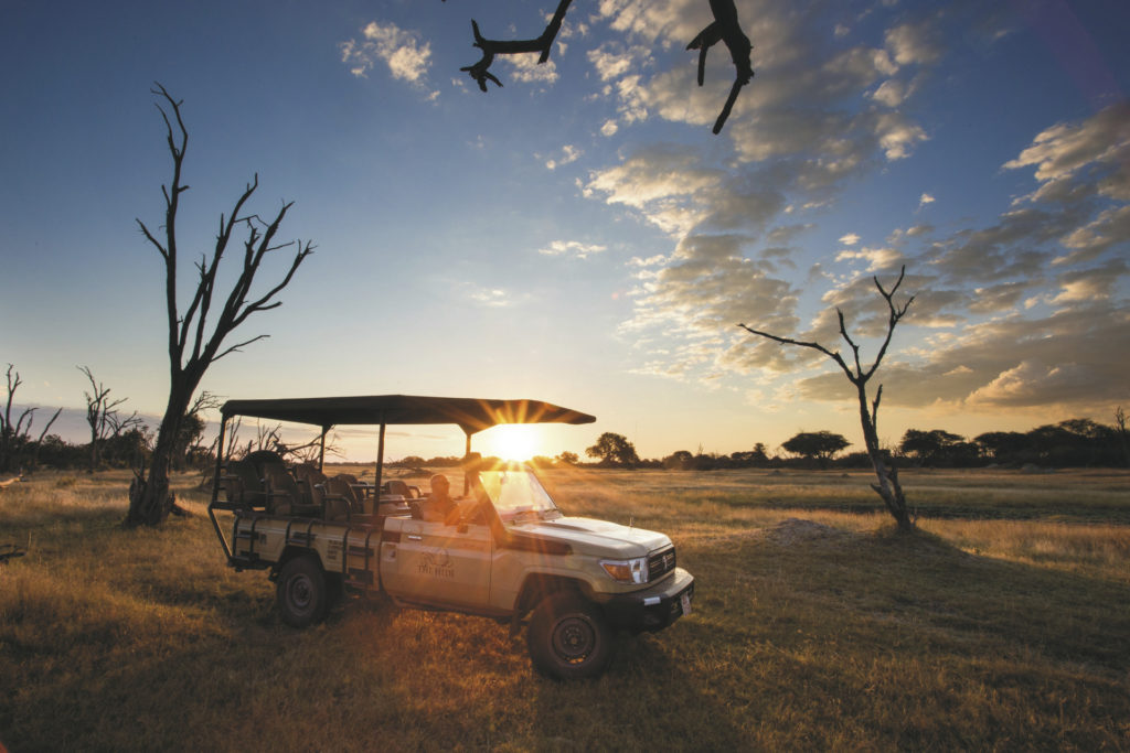 Flugsafari zu den Höhepunkten Zimbabwes