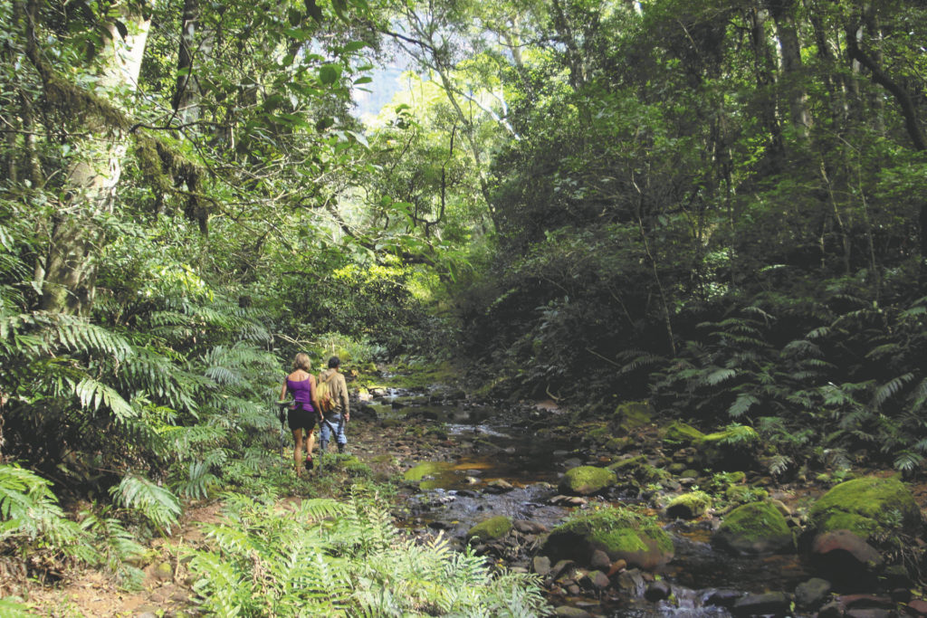 Amboro Nationalpark