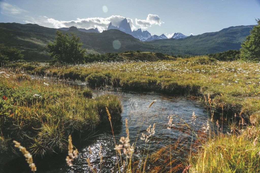 Glamping in El Chalten