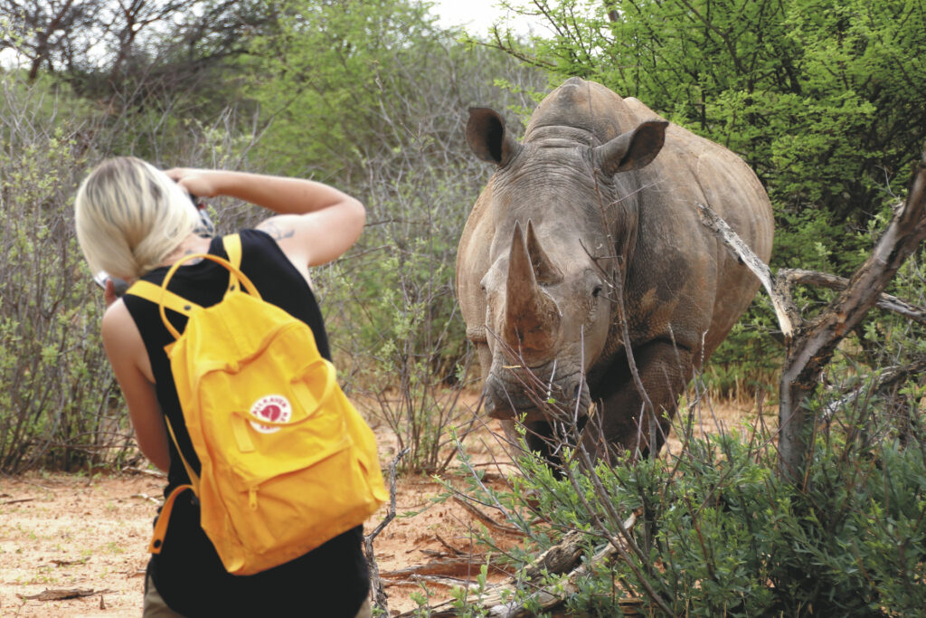 Waterberg Wilderness Lodge