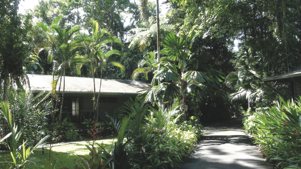 Heritage Lodge & Spa in the Daintree