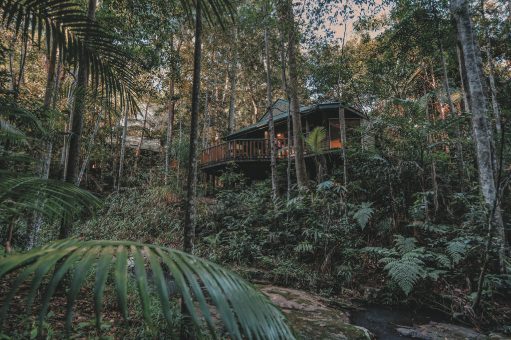 Narrows Escape Rainforest Retreat