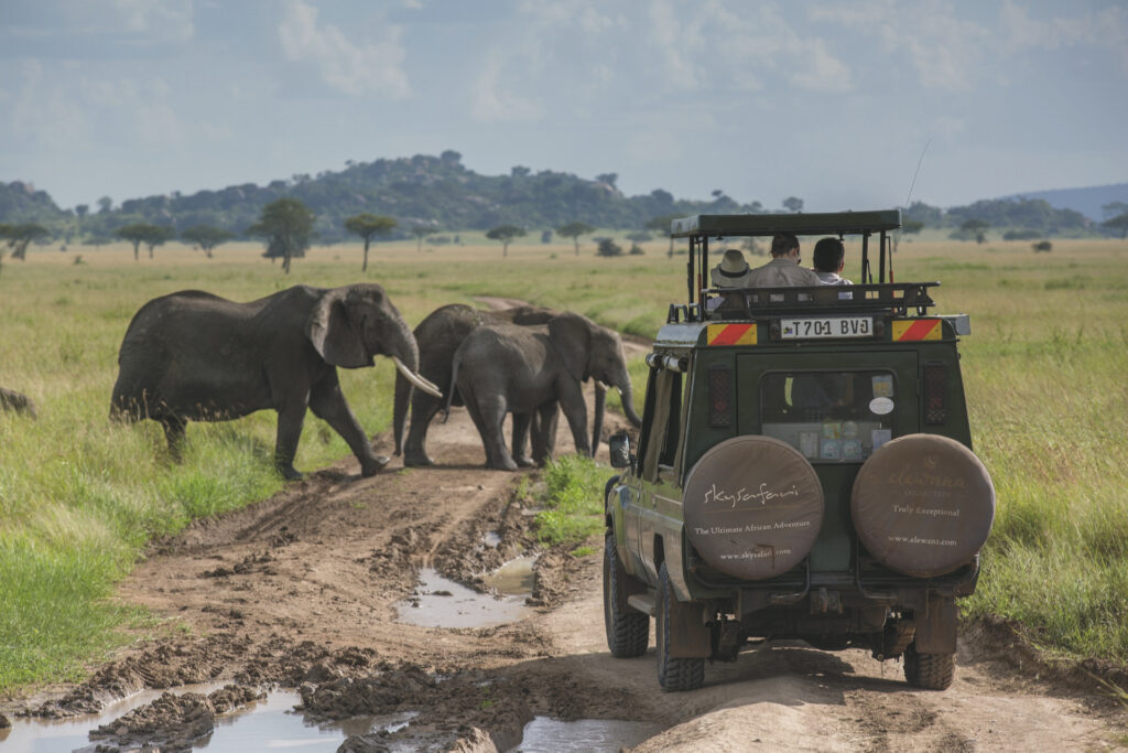 Serengeti Pioneer Camp