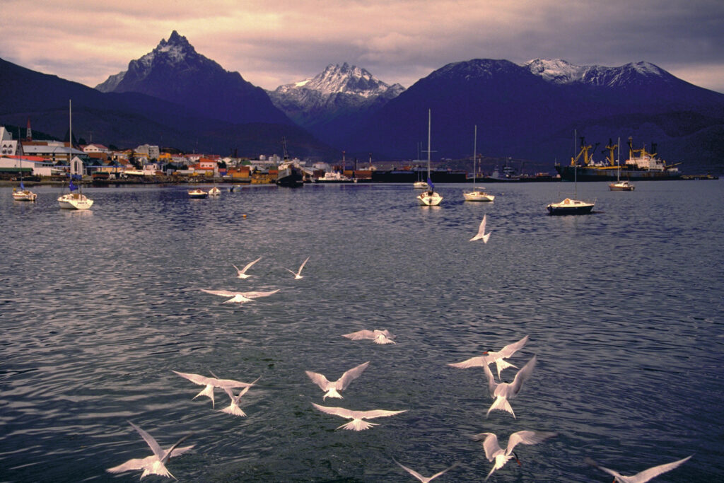 Bootsfahrt auf dem Beagle Kanal