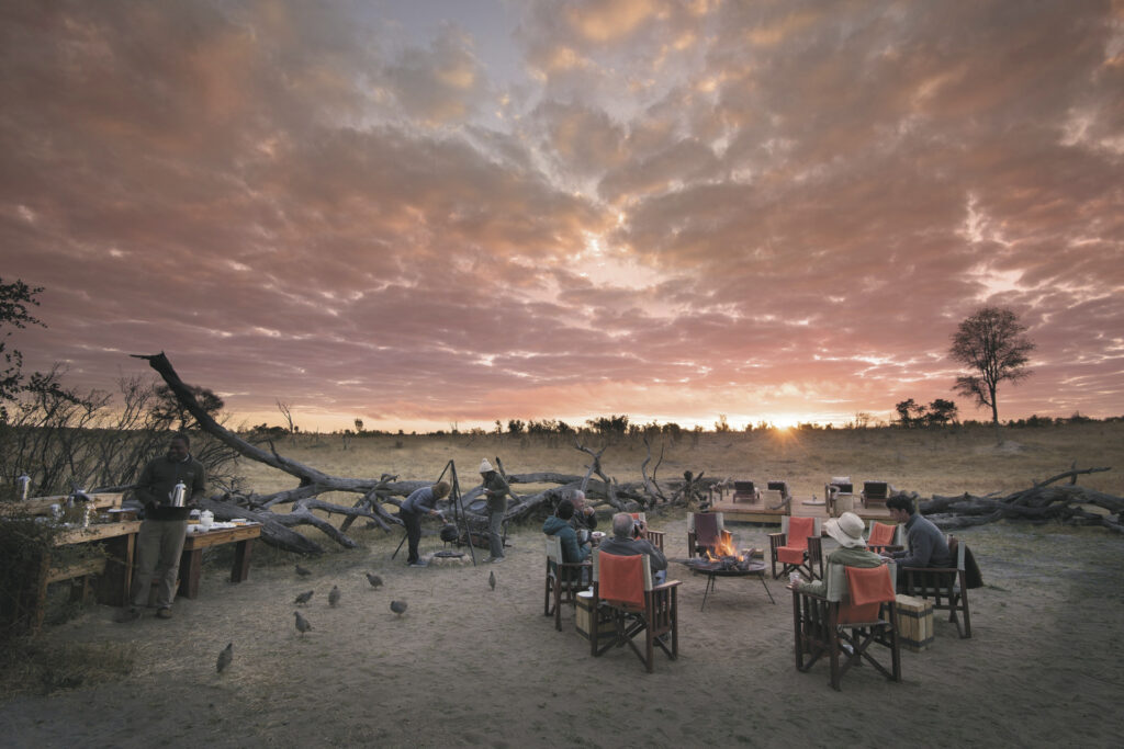 Safari zwischen Hwange und Mana Pools