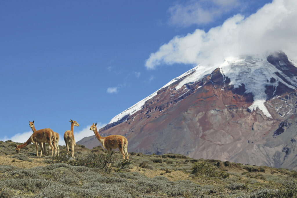 Ecuador & Peru kompakt