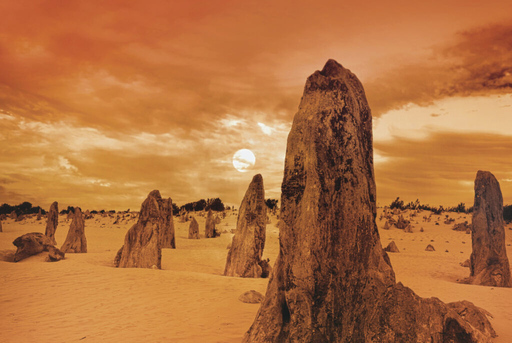 Terra Australis – alle Höhepunkte in einer Reise