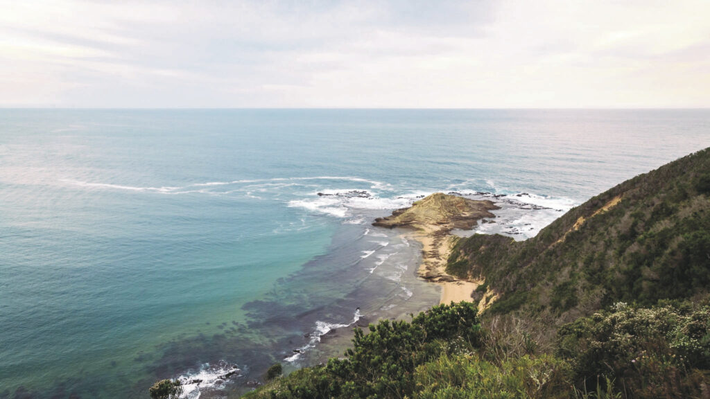 Simbavati Fynbos on Sea