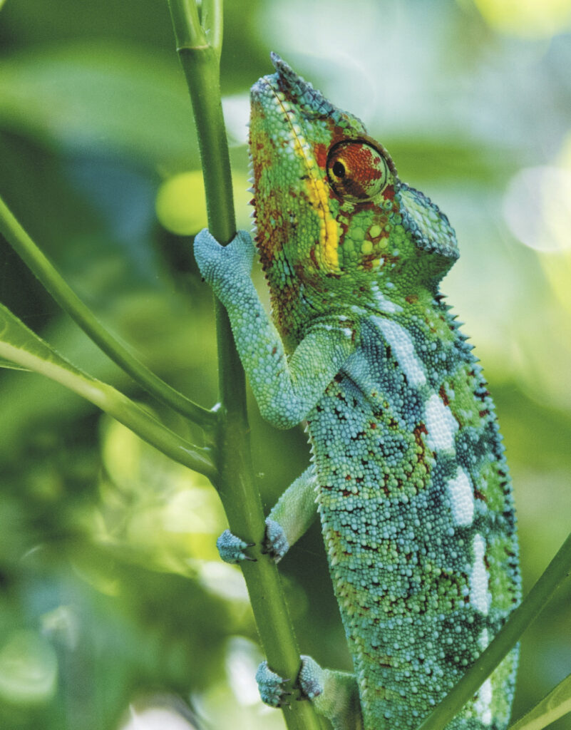 Unbekanntes Madagaskar