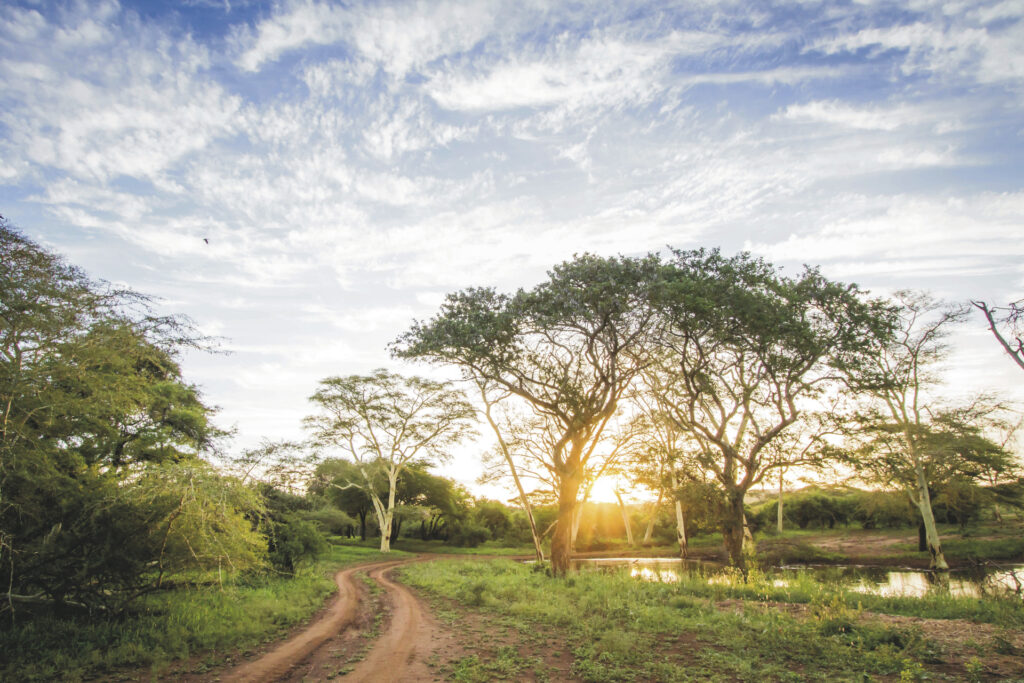 Leopard Mountain Safari Lodge