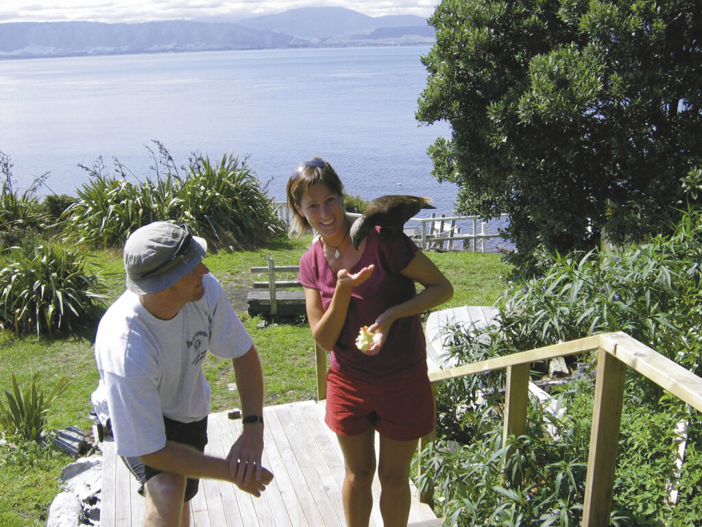 Natur-Beobachtung auf Kapiti Island