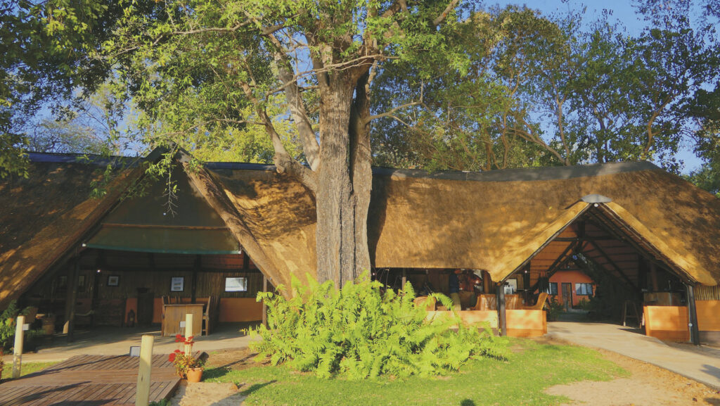 Ndhovu Safari Lodge