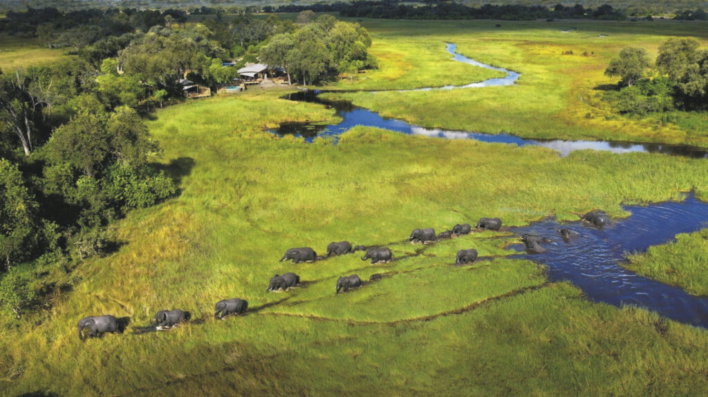 Abenteuer ursprüngliches Afrika