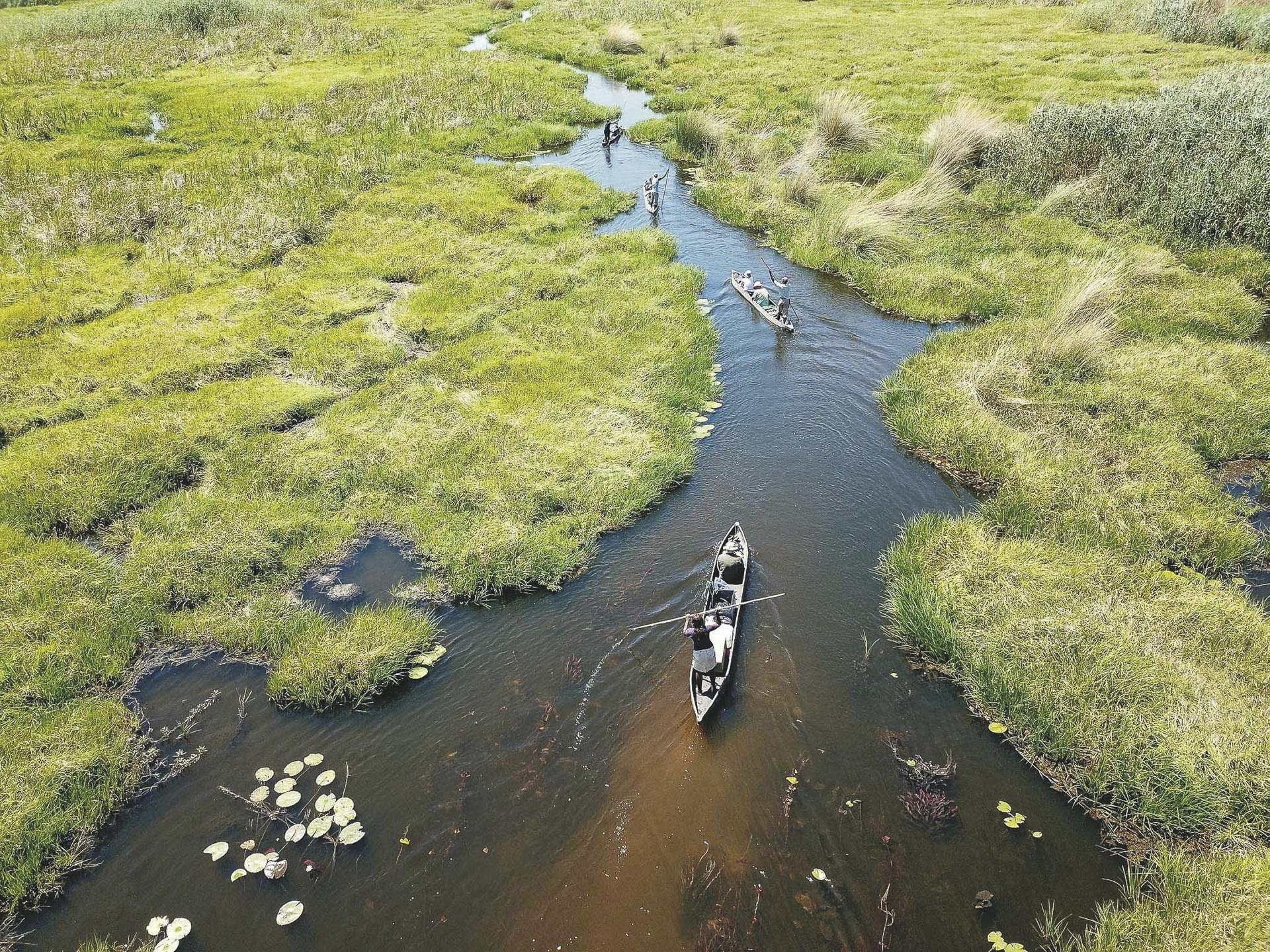 Mokorofahrt im Okavango Delta, ©Bruce Taylor