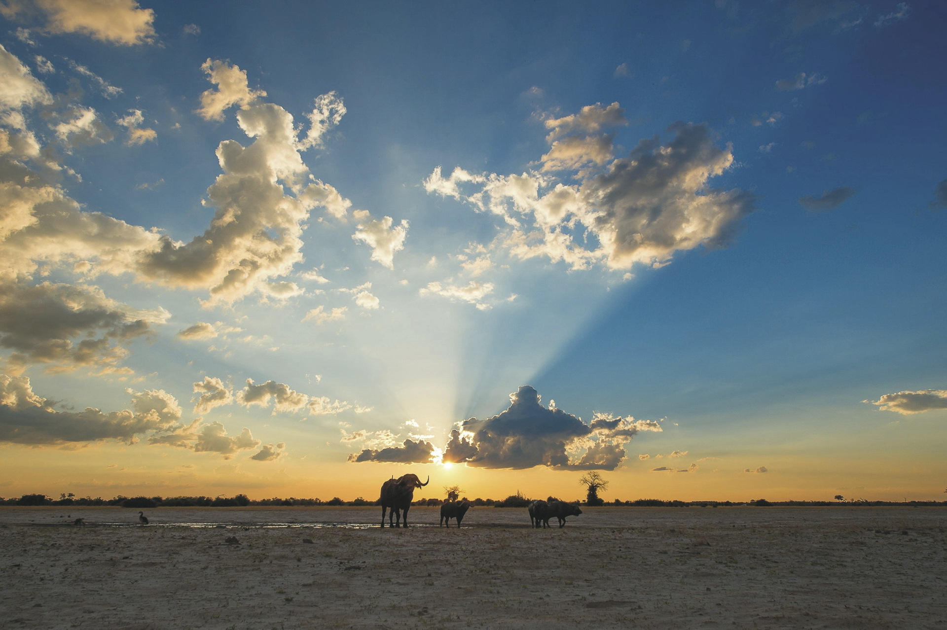 Wildside Botswana