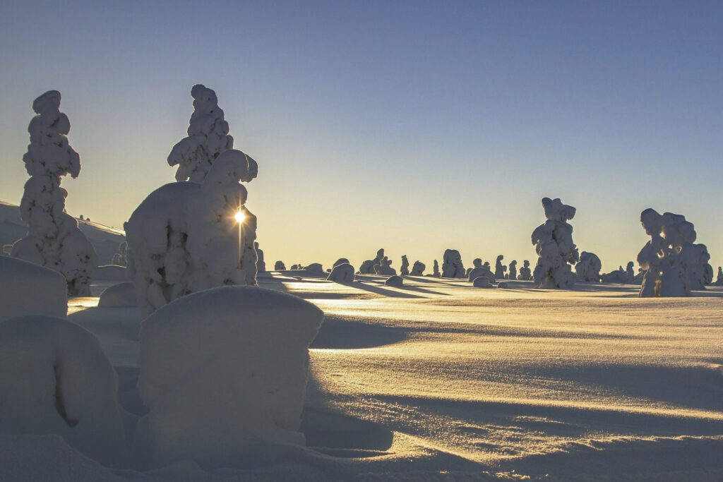 Winter-Abenteuer Lappland