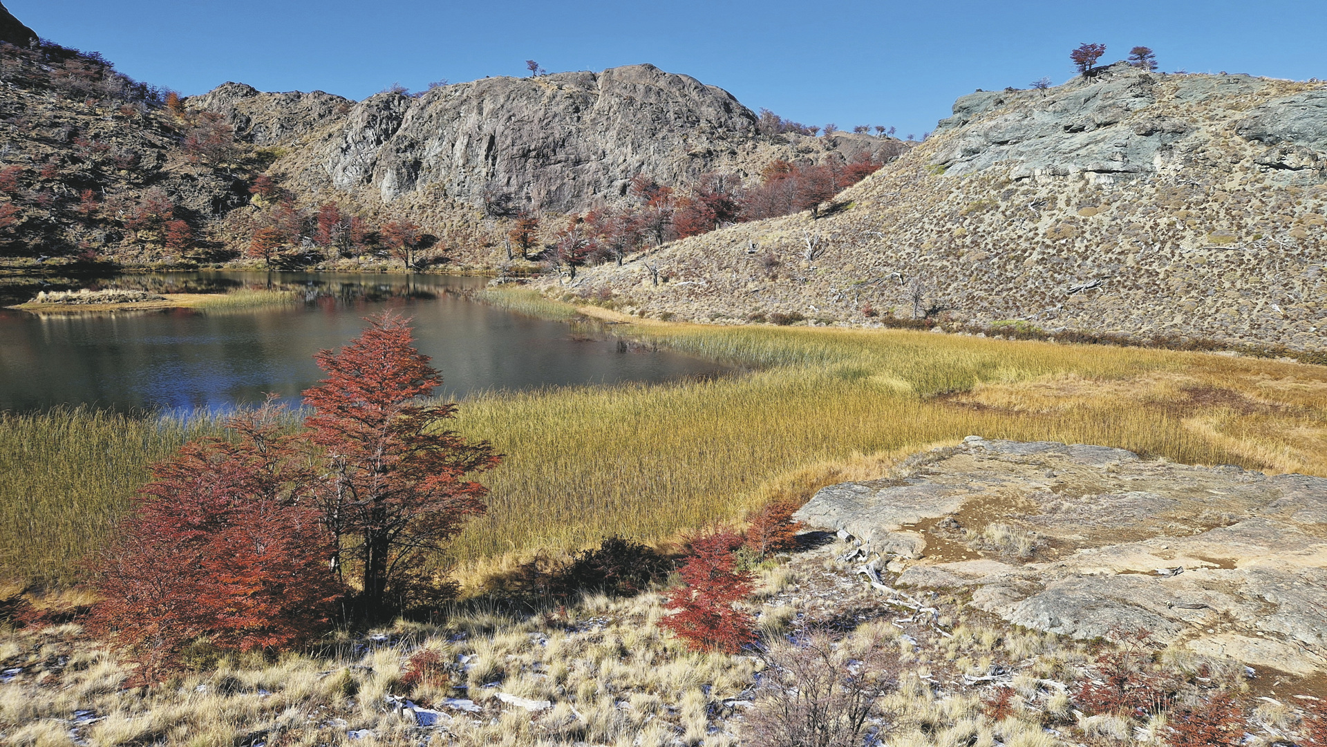 Wanderung Lagunas Alta - Hotel Explora, ©K-H. Milter - Karawane Reisen