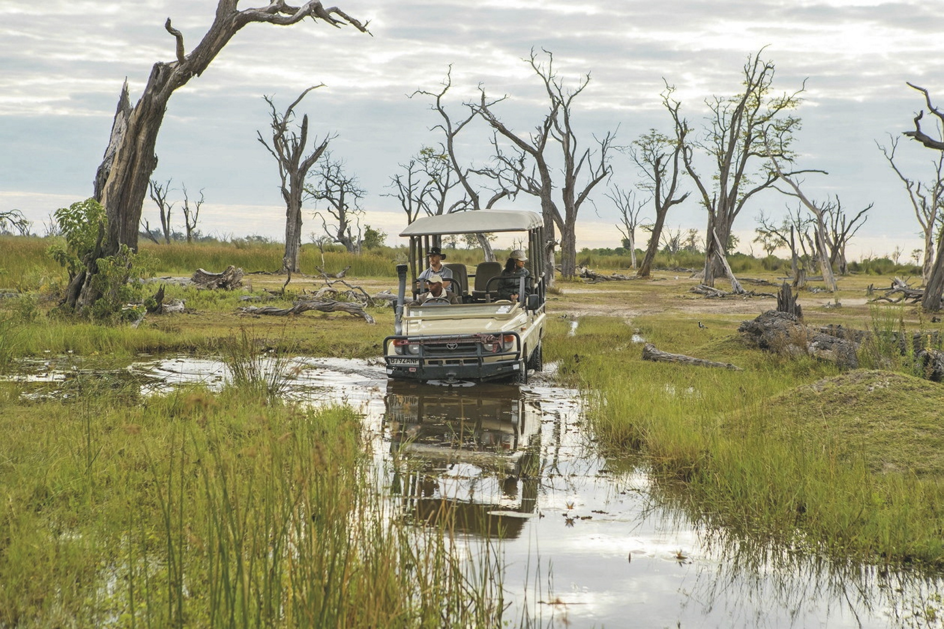 Okavango Delta, Savuti & Chobe Nationalpark