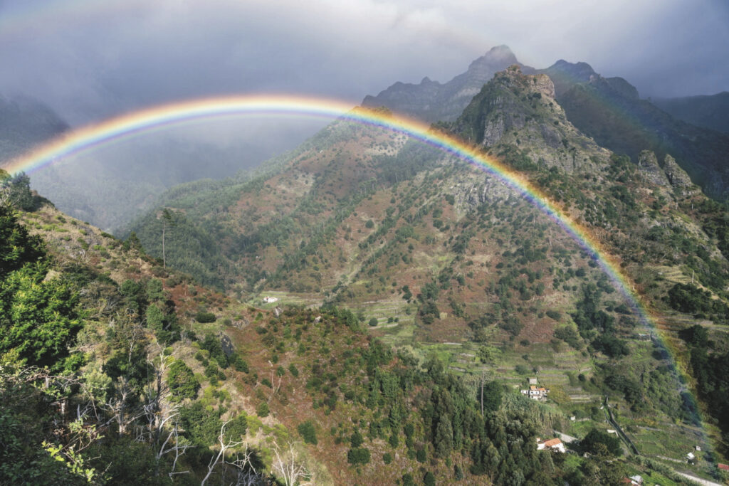 Fotoreise Madeira – Inselwelten